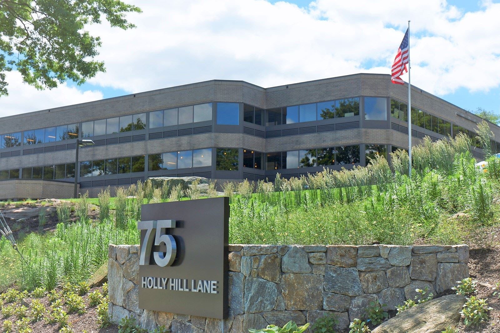 Harbor Point Dental Greenwich office at 75 Holly Hill Lane