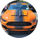 Giulio Eliseo profile picture