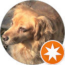 Lynn Staffeldt profile picture